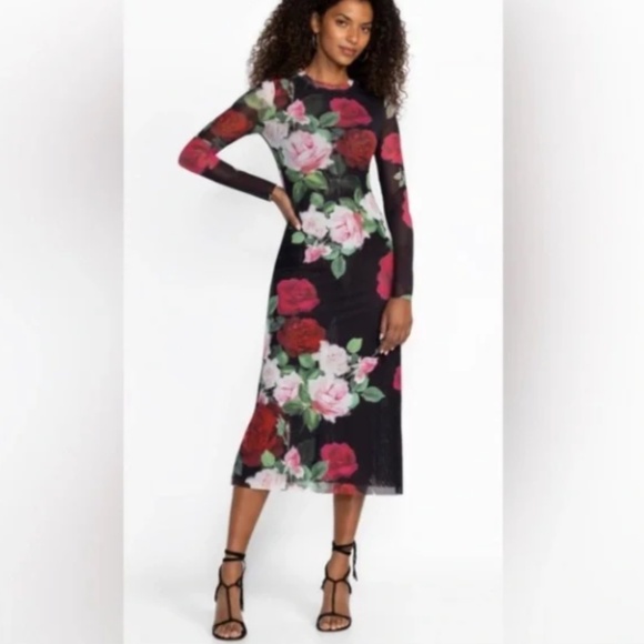Jade Johnny Was Lolia Rose Print Mesh Midi Dress Nwt XS - Picture 2 of 9